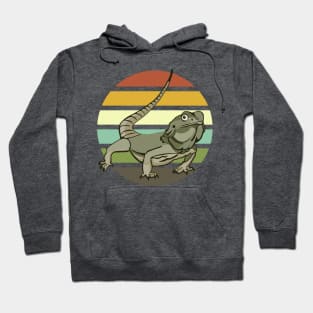 Chinese Water Dragon Portrait on Sunset Hoodie